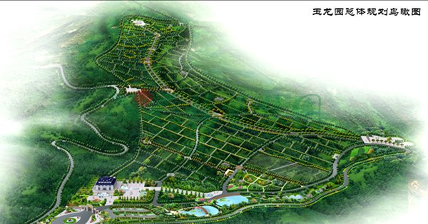 1-22020Q12122N1 博天堂·918-官方网站|真人游戏品牌