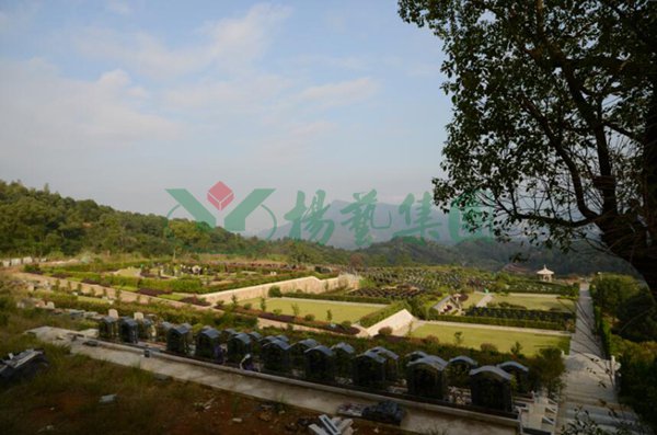 1-220209110423W1 博天堂·918-官方网站|真人游戏品牌