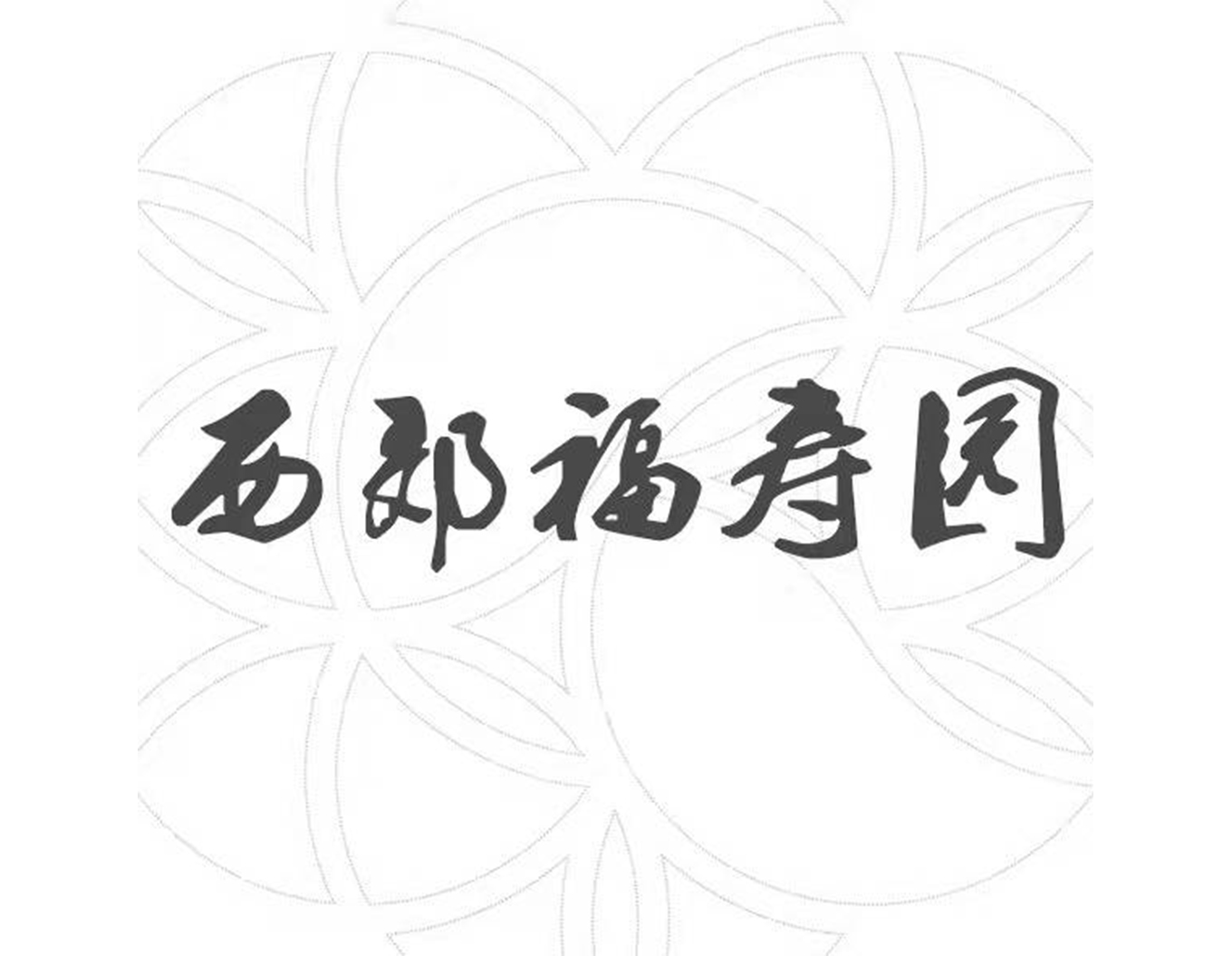 1-21121Q32450M4 博天堂·918-官方网站|真人游戏品牌