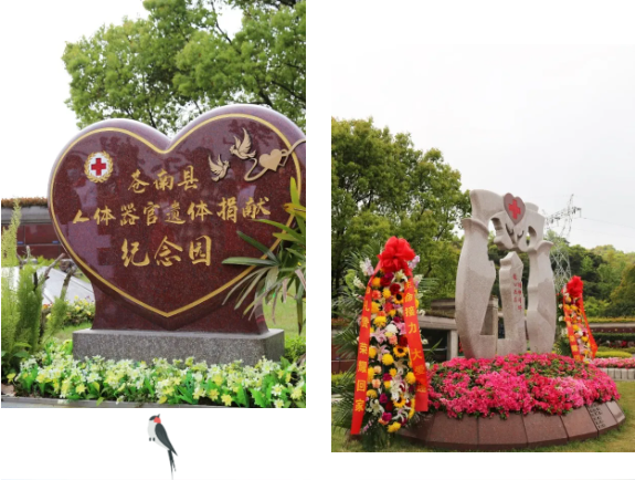 1-2404060951244F 博天堂·918-官方网站|真人游戏品牌
