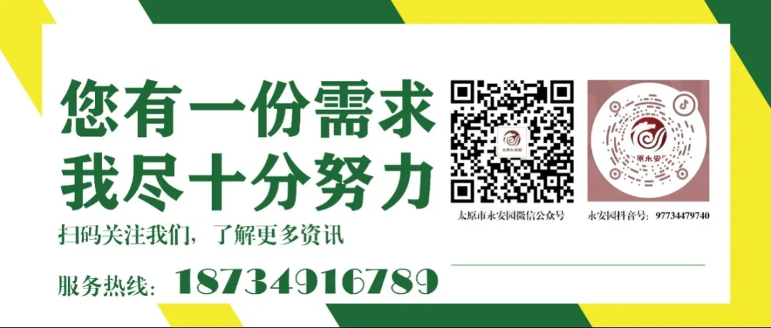 1-240615110356491 博天堂·918-官方网站|真人游戏品牌